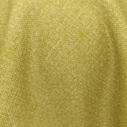 11-Mimosa