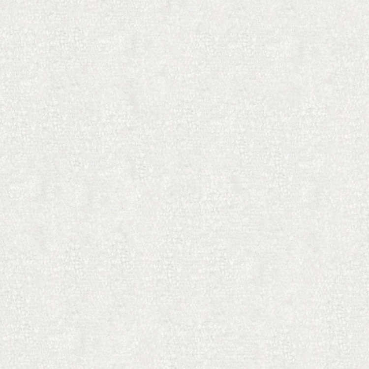 Brigadier 04-Swan