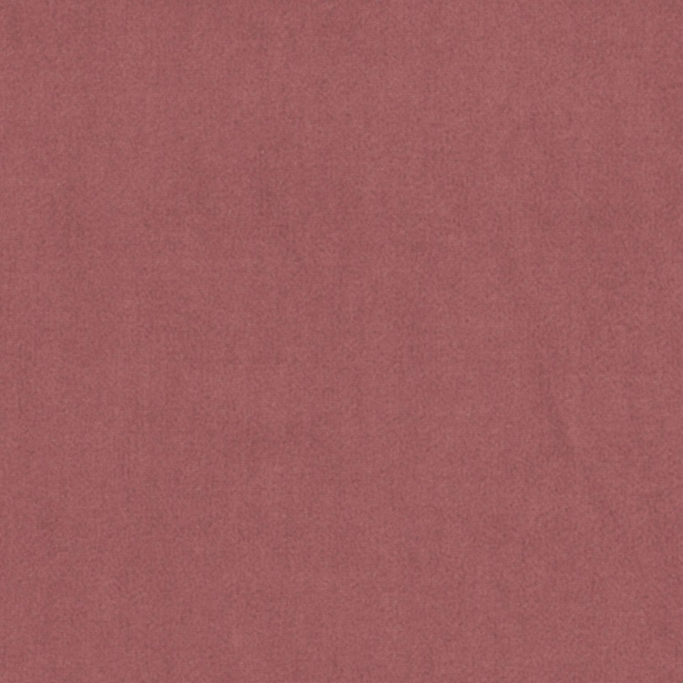 Warlock 40-Powder